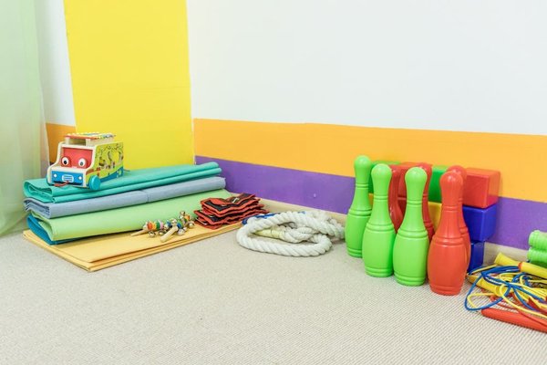 What are the best strategies for integrating a rescue dog into a multi-pet household?