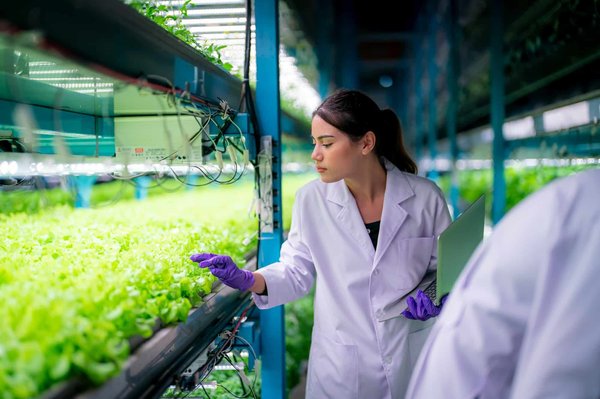 What Are the Benefits of Incorporating Vertical Farming into Urban Real Estate Developments?